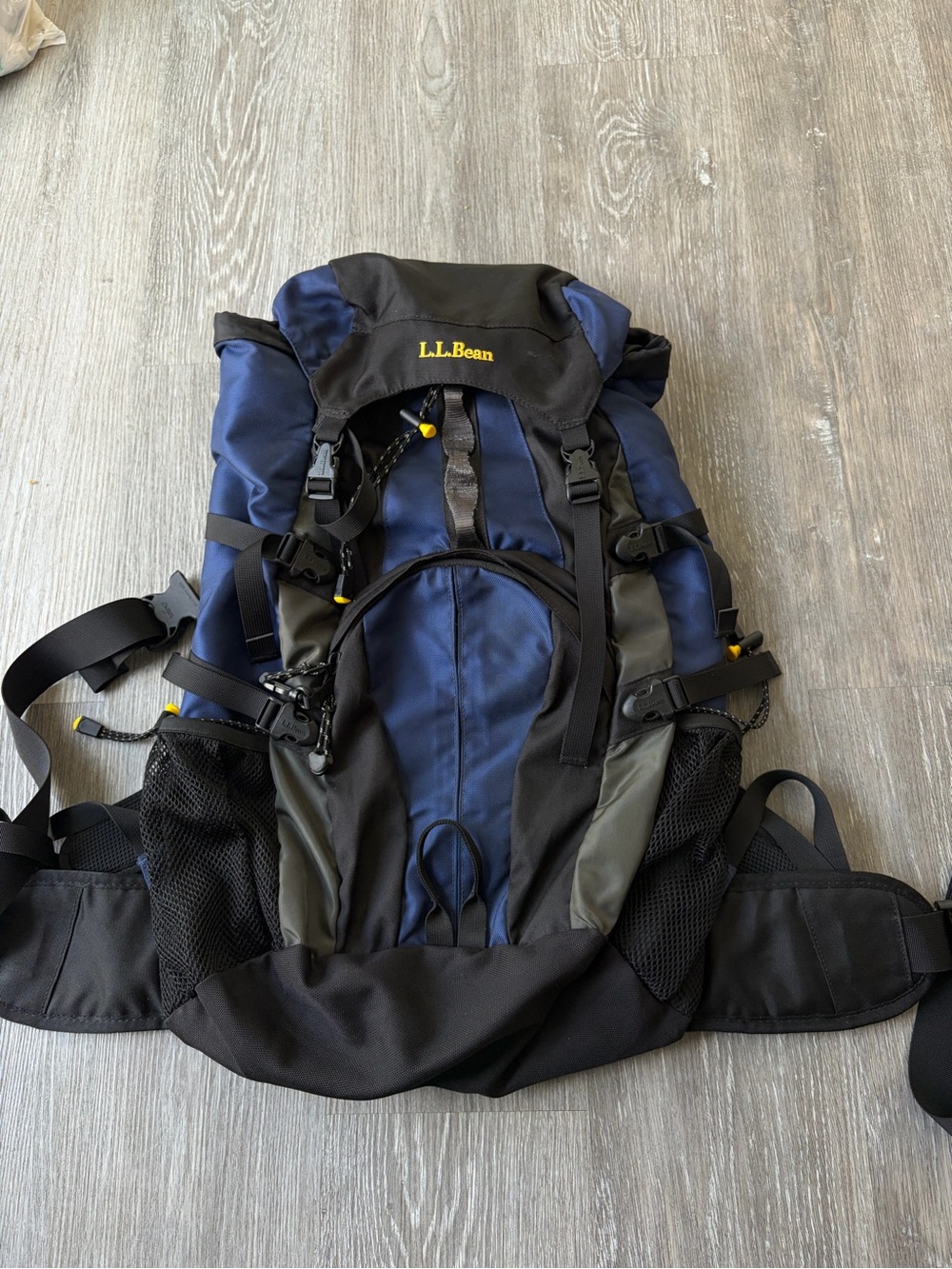 L.L. Bean H2o Hiking Backpack